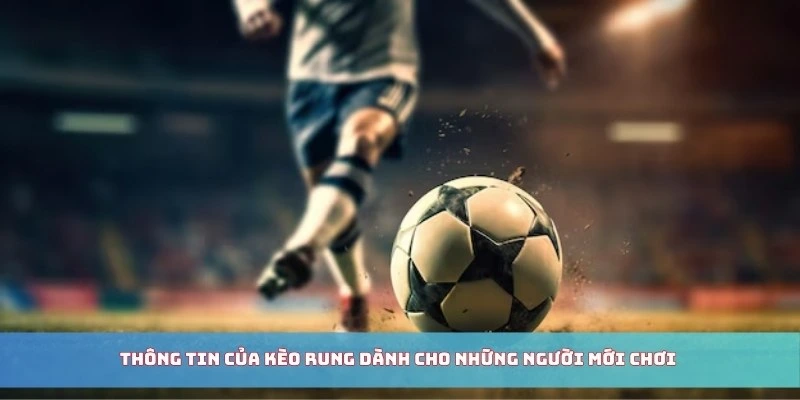 Thông tin của kèo rung dành cho những người mới chơi 